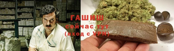 хмурый Алзамай