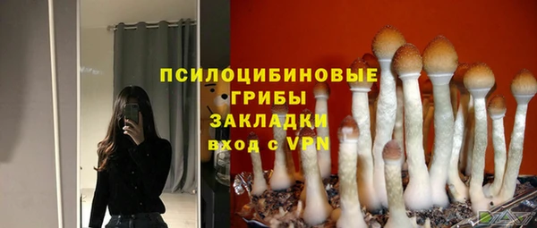 PSILOCYBIN Алексеевка
