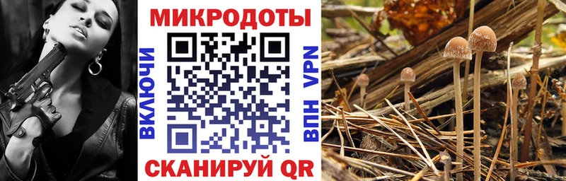 Галлюциногенные грибы мицелий  Россошь 