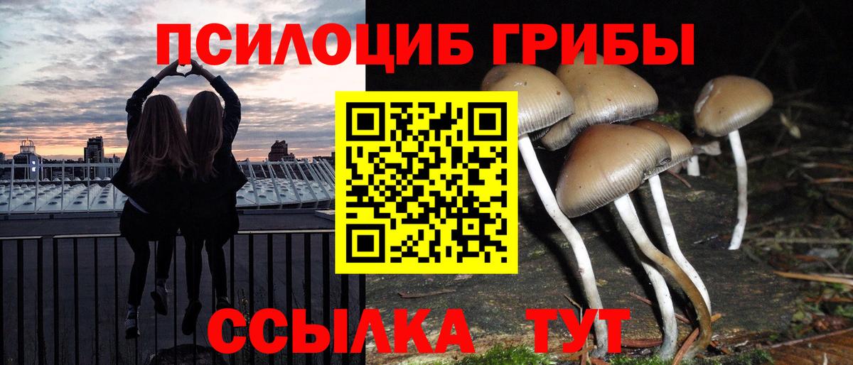 Псилоцибиновые грибы MAGIC MUSHROOMS Россошь